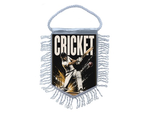 Mini fanion sport cricket - sport,